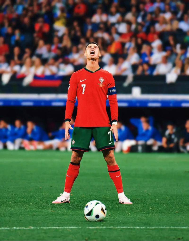 的真正意义 的真正意义